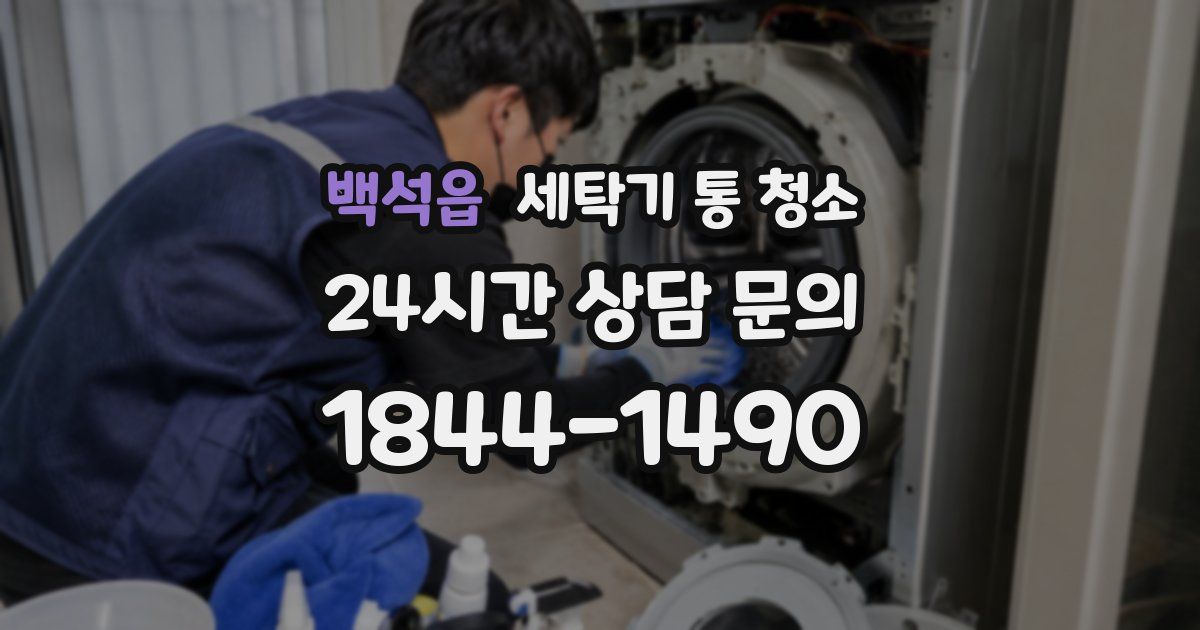 백석읍 세탁기 통 청소