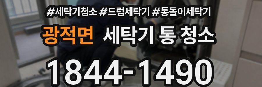 광적면 세탁기 통 청소