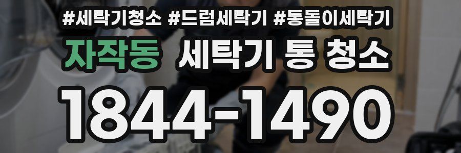 자작동 세탁기 통 청소