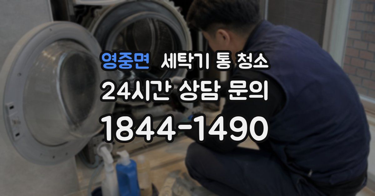 영중면 세탁기 통 청소