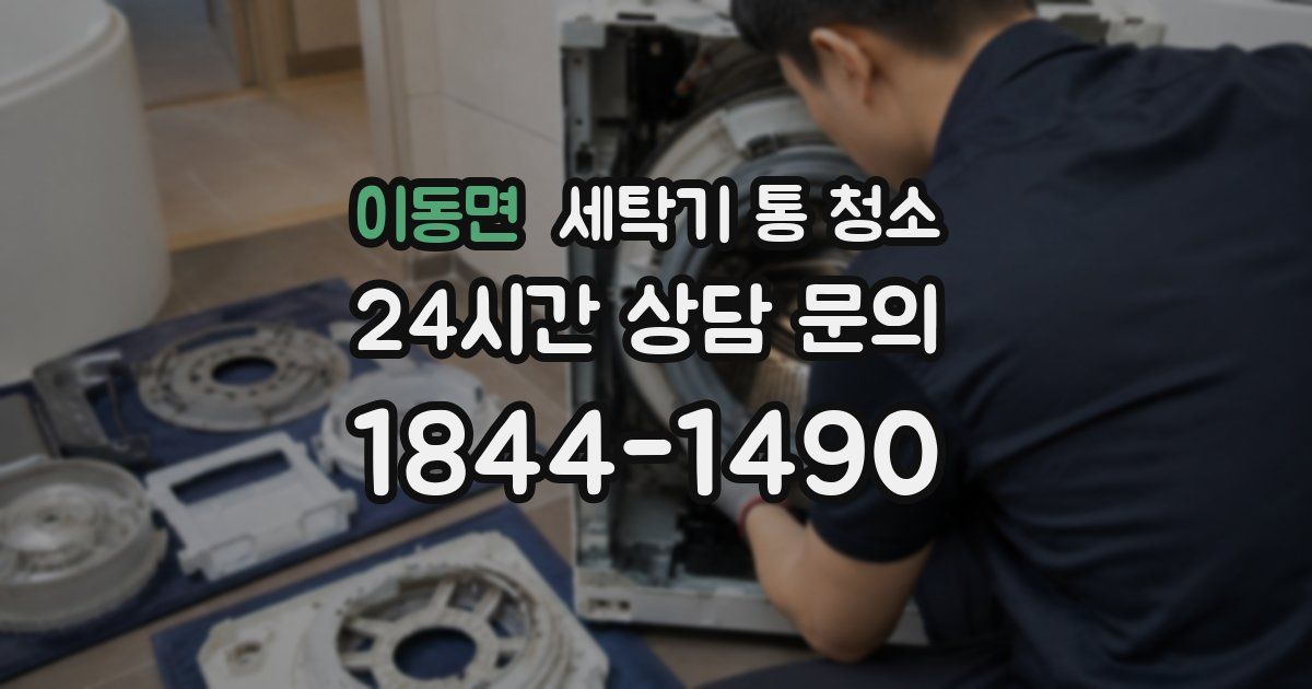 이동면 세탁기 통 청소
