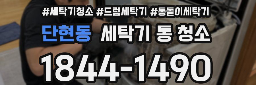 단현동 세탁기 통 청소