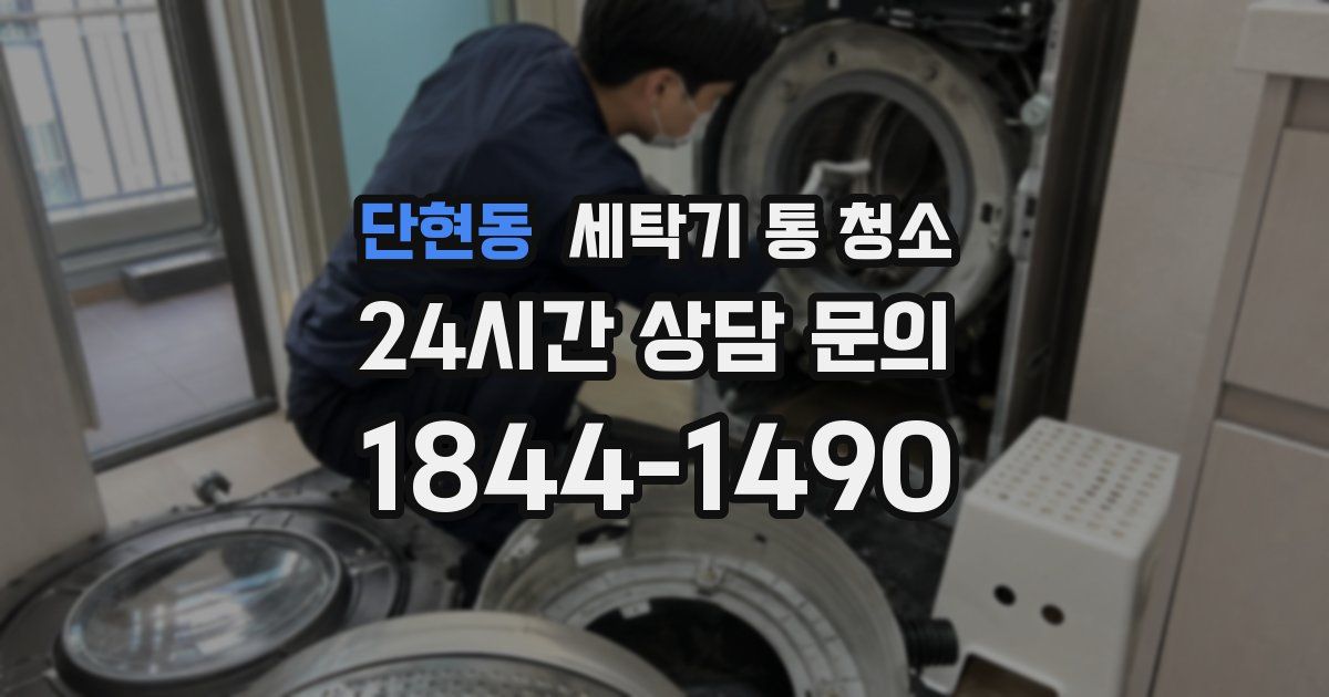 단현동 세탁기 통 청소