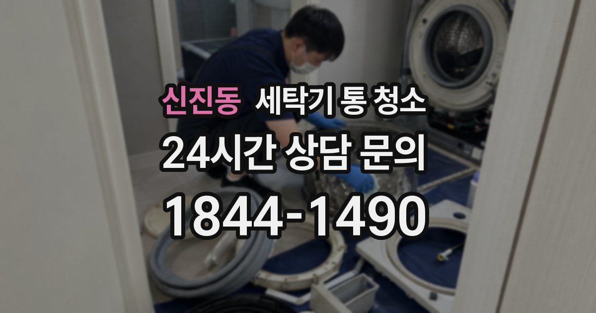 신진동 세탁기 통 청소