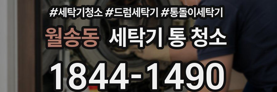 월송동 세탁기 통 청소