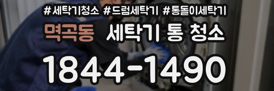 멱곡동 세탁기 통 청소