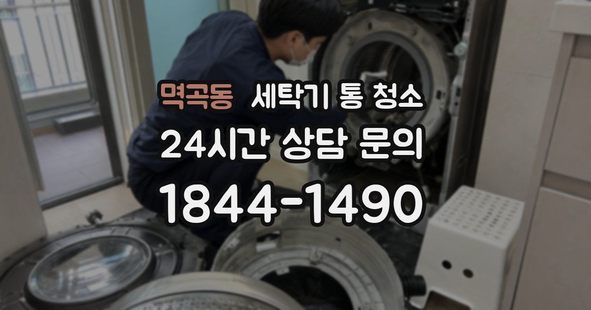 멱곡동 세탁기 통 청소