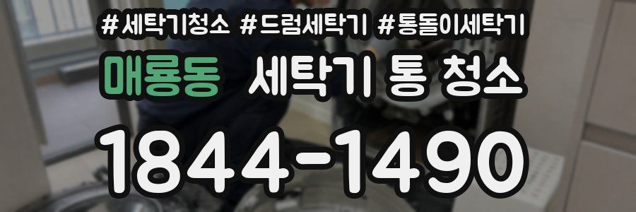 매룡동 세탁기 통 청소
