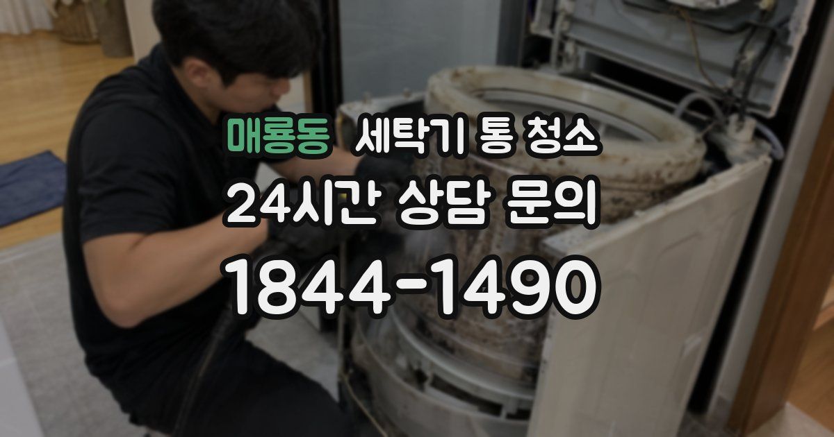매룡동 세탁기 통 청소