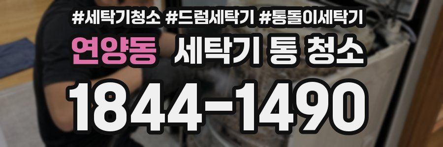연양동 세탁기 통 청소