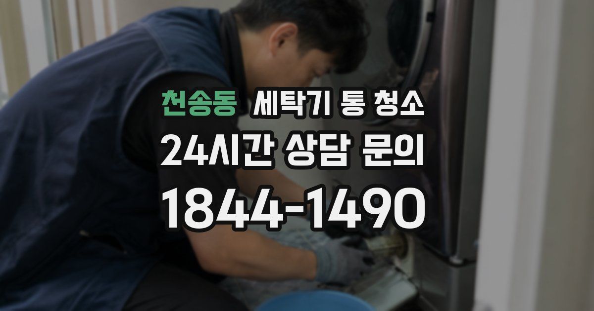 천송동 세탁기 통 청소
