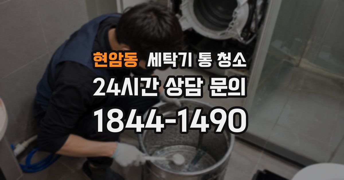 현암동 세탁기 통 청소