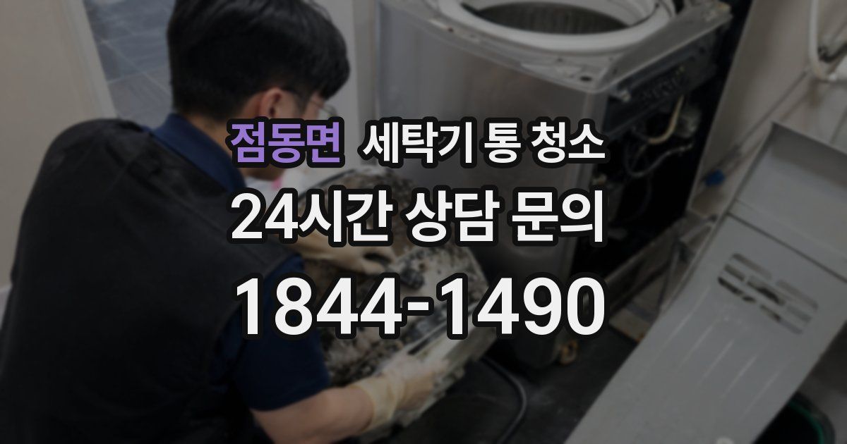 점동면 세탁기 통 청소