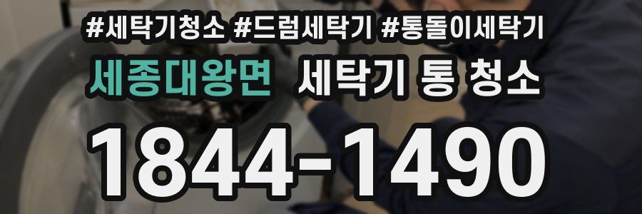 세종대왕면 세탁기 통 청소