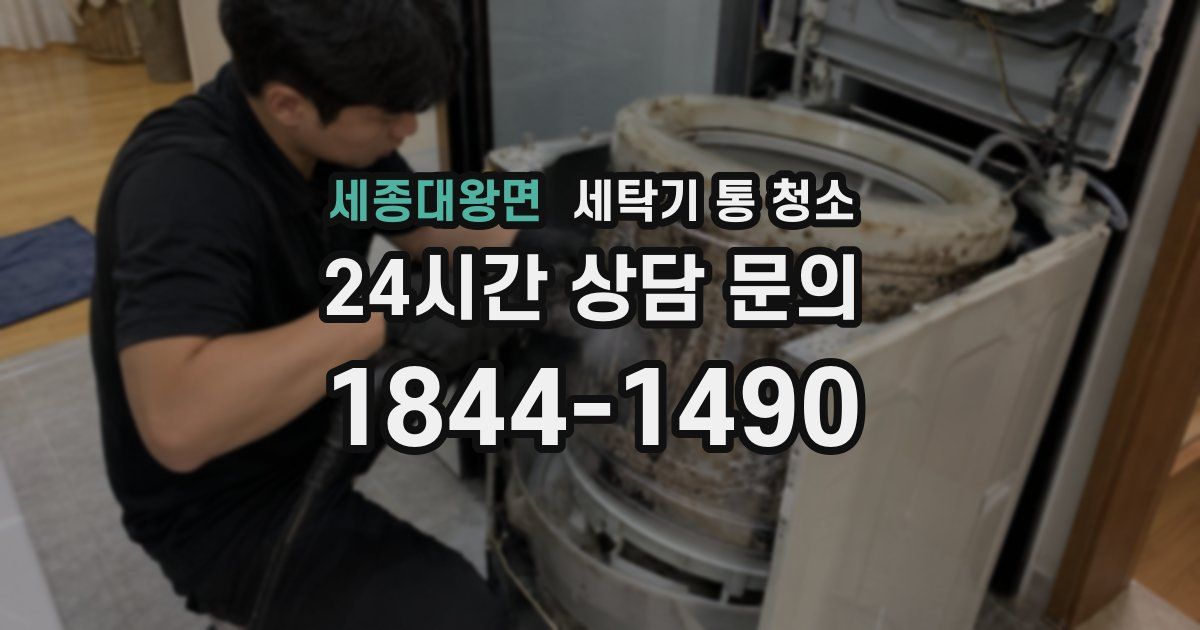 세종대왕면 세탁기 통 청소