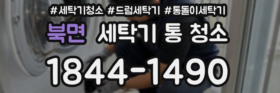 북면 세탁기 통 청소