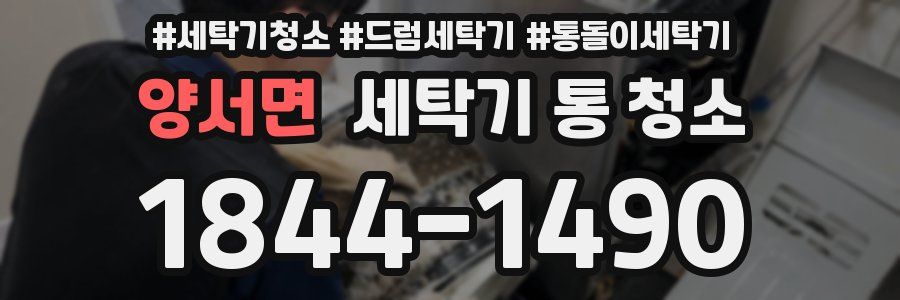 양서면 세탁기 통 청소