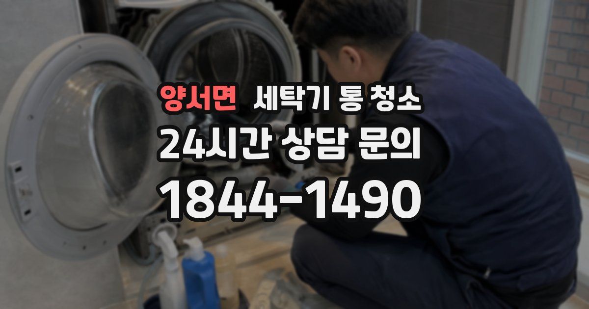양서면 세탁기 통 청소