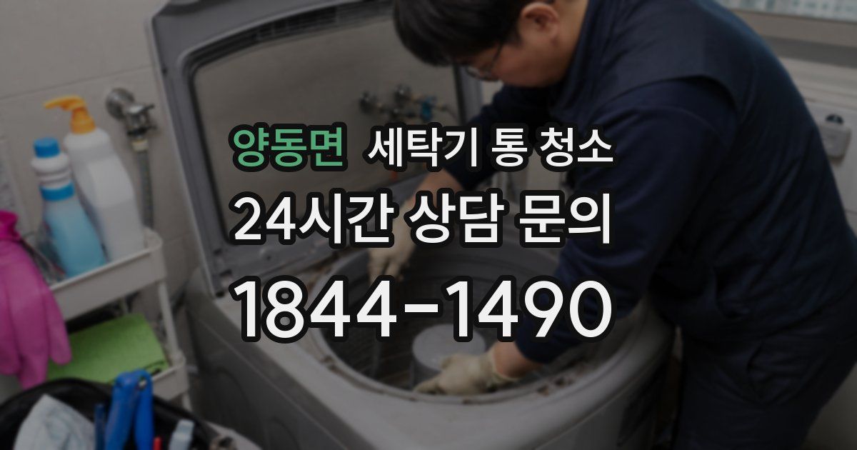 양동면 세탁기 통 청소