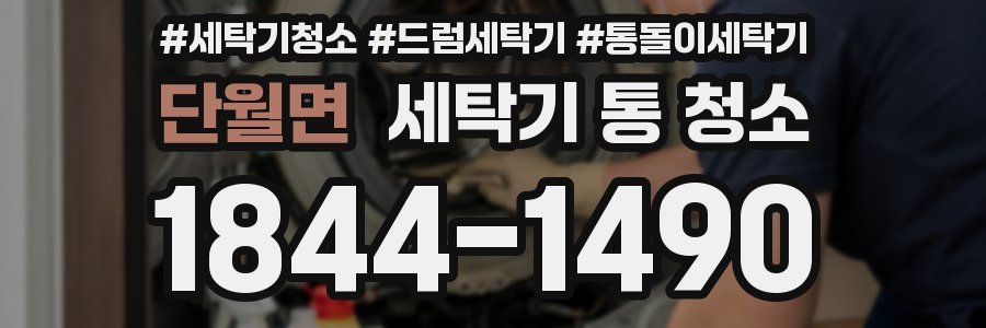 단월면 세탁기 통 청소