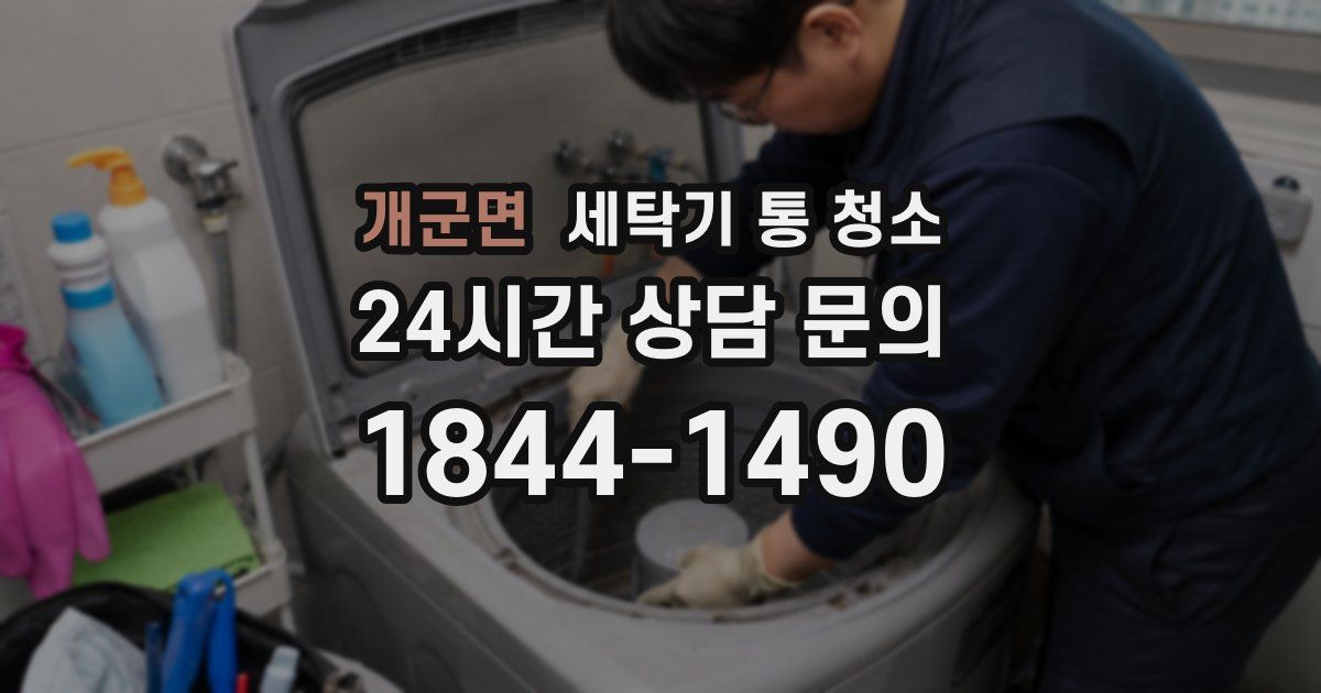 개군면 세탁기 통 청소