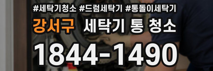 강서구 세탁기 통 청소