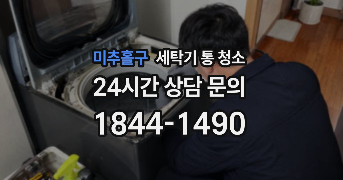 미추홀구 세탁기 통 청소