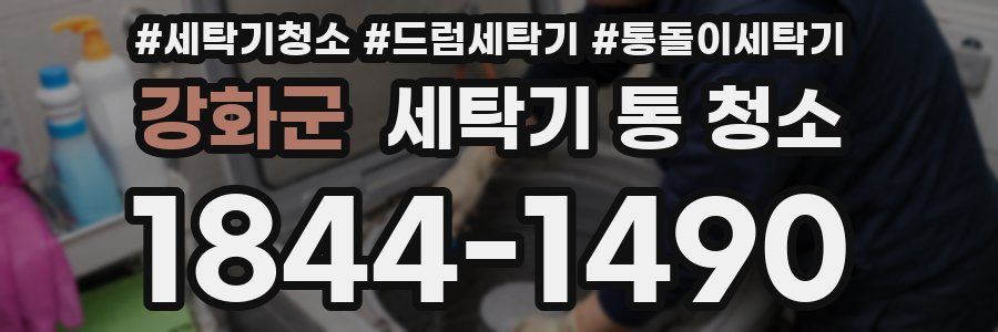 강화군 세탁기 통 청소