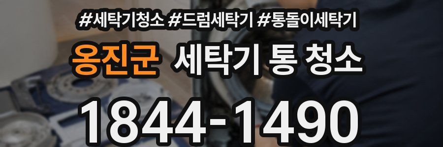 옹진군 세탁기 통 청소