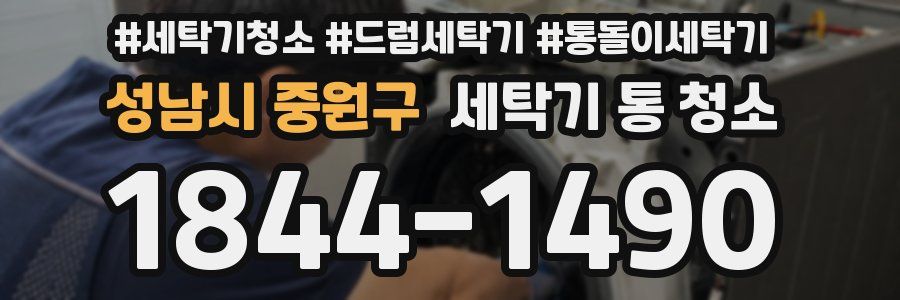 성남시 중원구 세탁기 통 청소