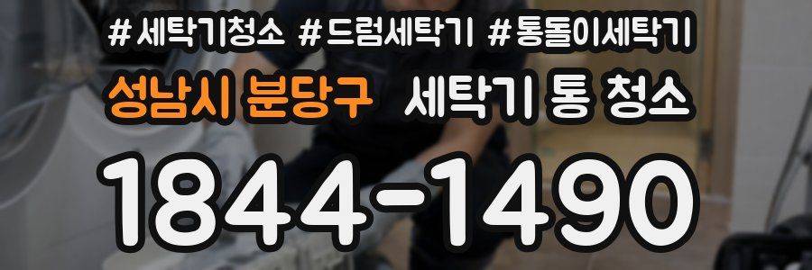 성남시 분당구 세탁기 통 청소