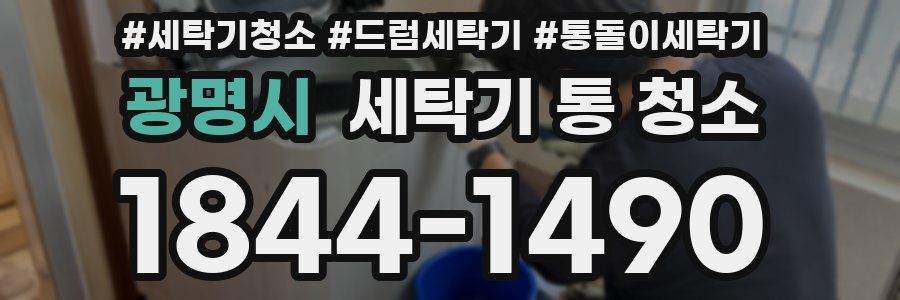광명시 세탁기 통 청소