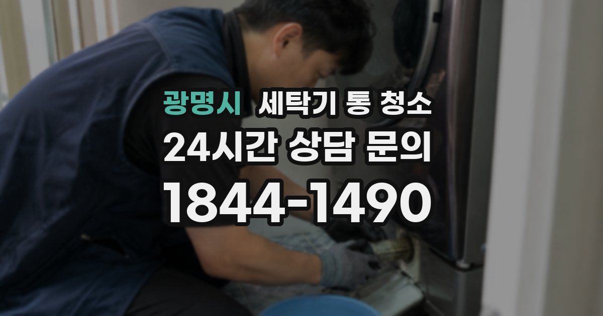 광명시 세탁기 통 청소