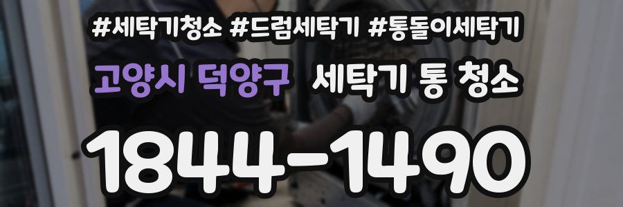 고양시 덕양구 세탁기 통 청소