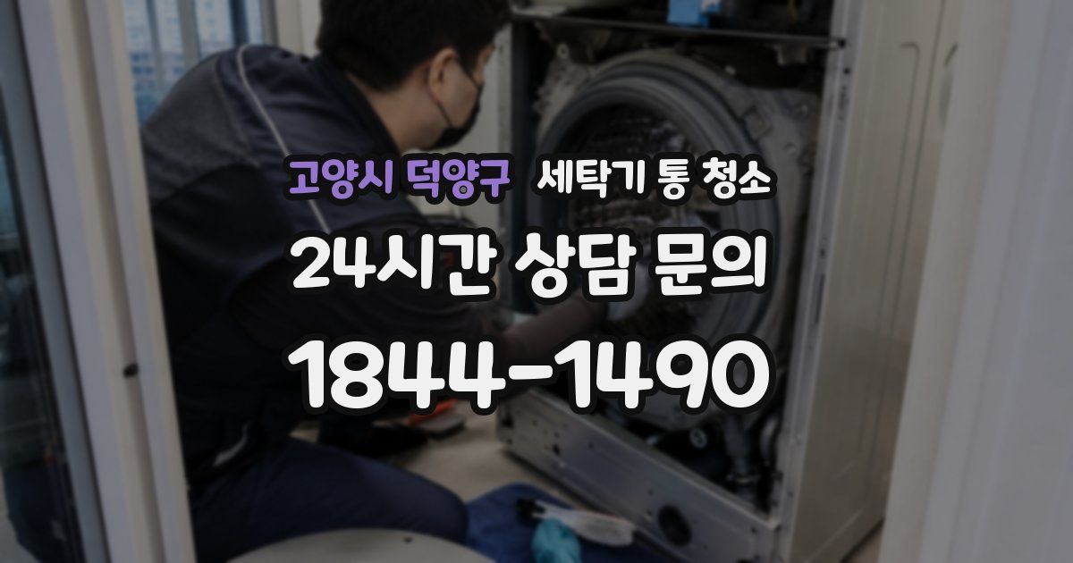 고양시 덕양구 세탁기 통 청소