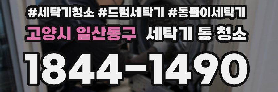 고양시 일산동구 세탁기 통 청소