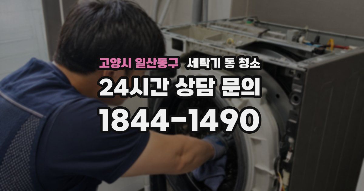 고양시 일산동구 세탁기 통 청소