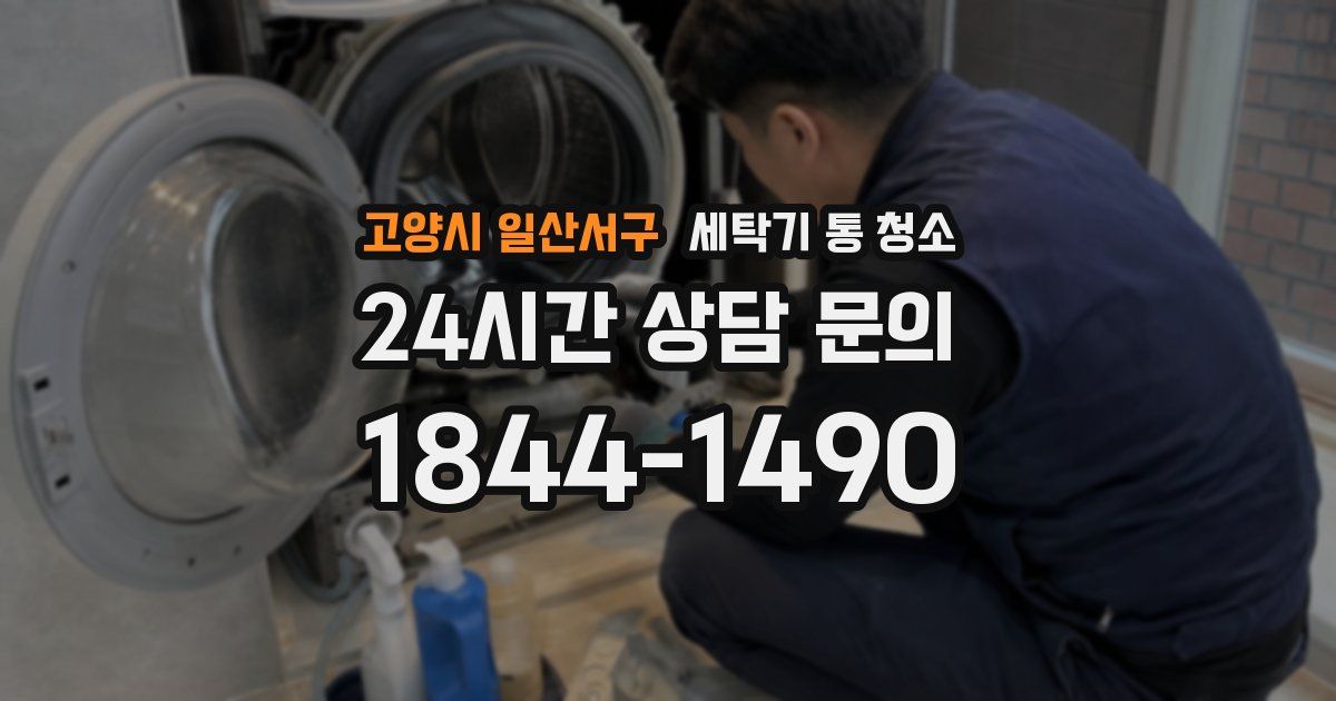 고양시 일산서구 세탁기 통 청소