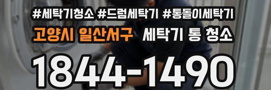 고양시 일산서구 세탁기 통 청소