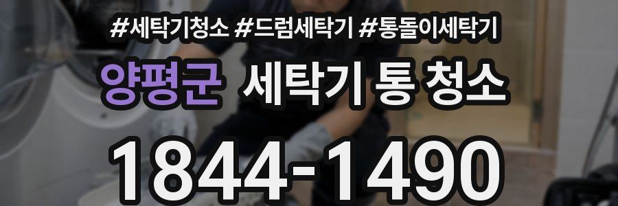 양평군 세탁기 통 청소
