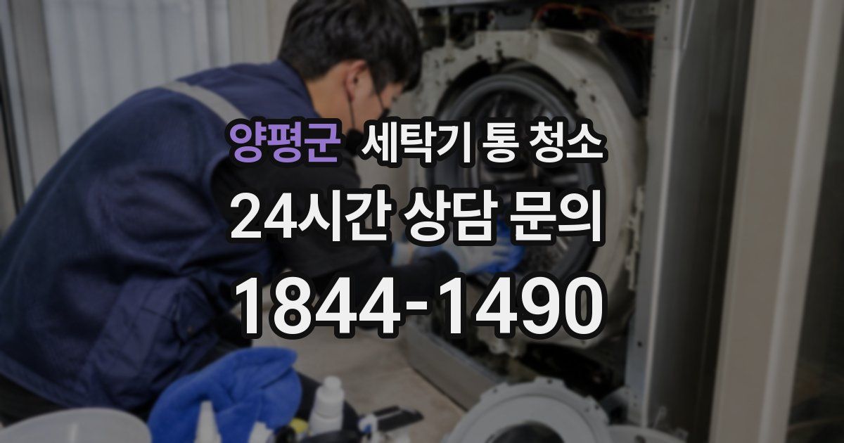양평군 세탁기 통 청소