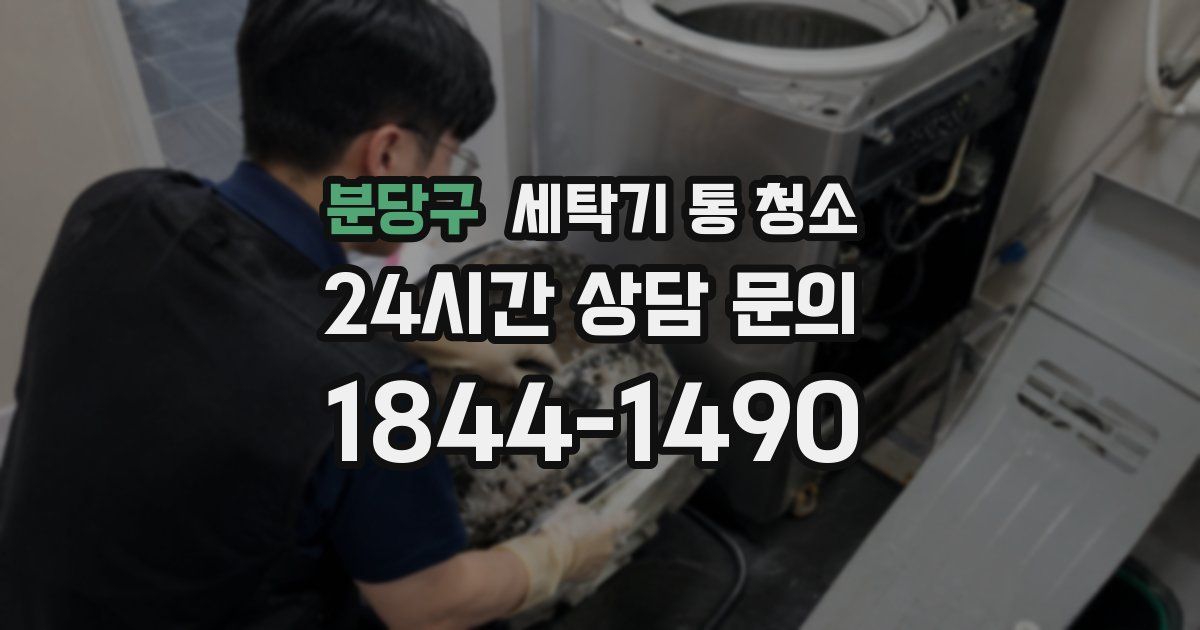 분당구 세탁기 통 청소