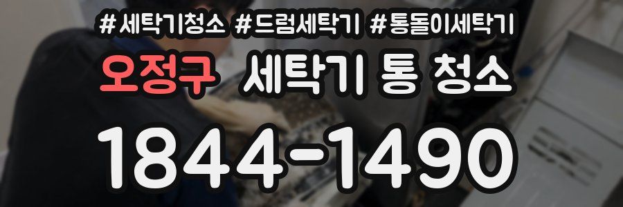 오정구 세탁기 통 청소