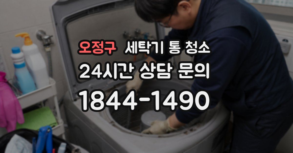 오정구 세탁기 통 청소