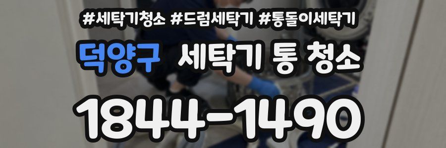 덕양구 세탁기 통 청소