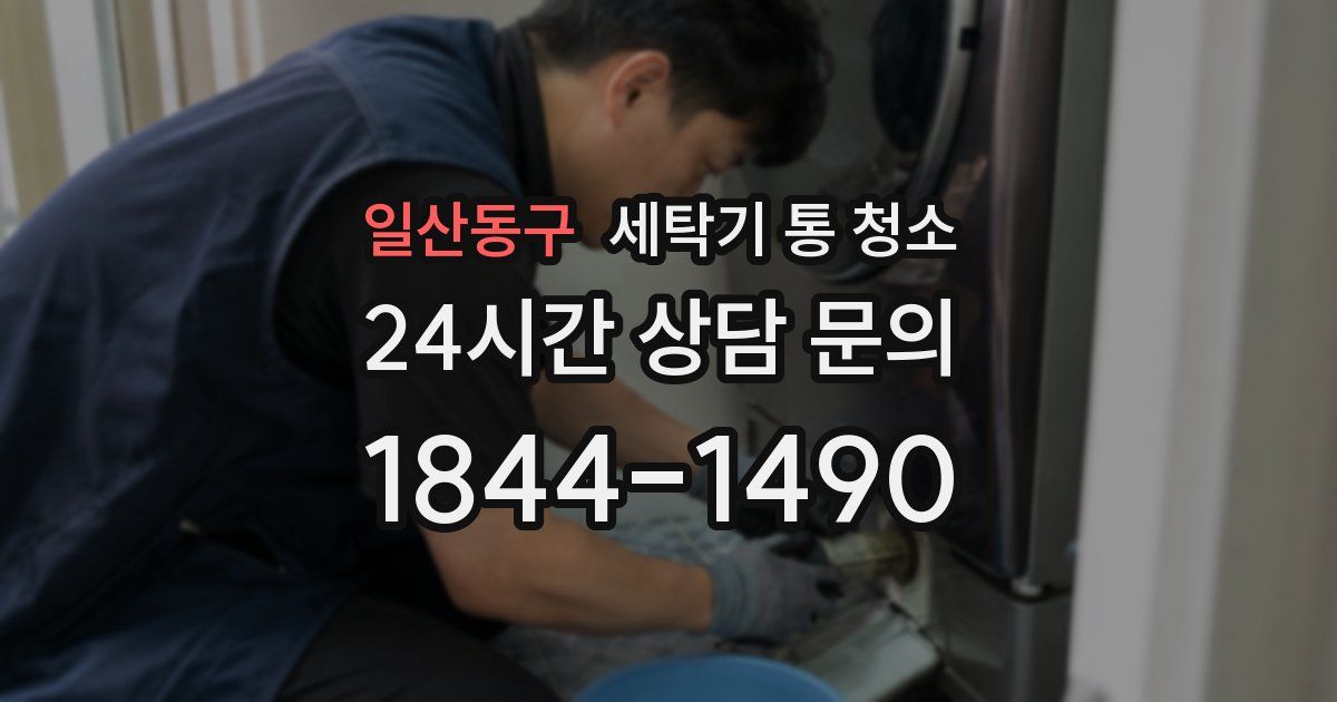 일산동구 세탁기 통 청소