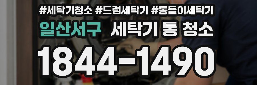 일산서구 세탁기 통 청소
