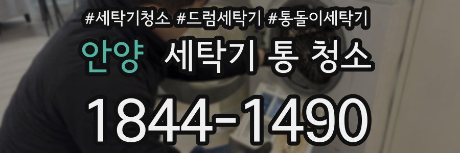안양 세탁기 통 청소