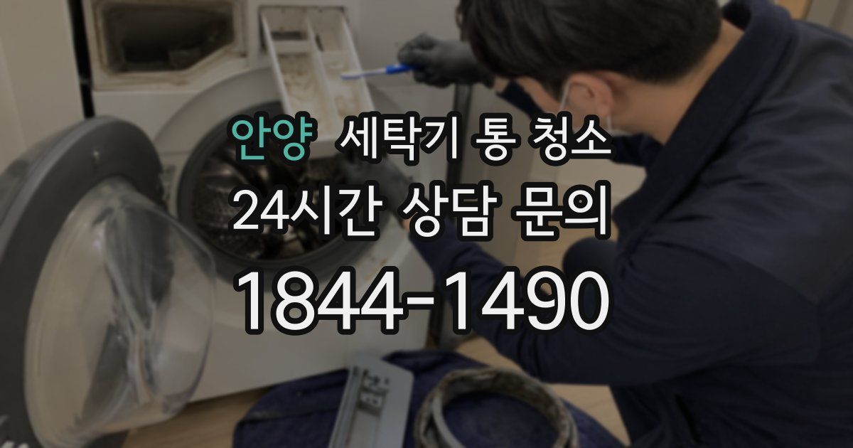 안양 세탁기 통 청소