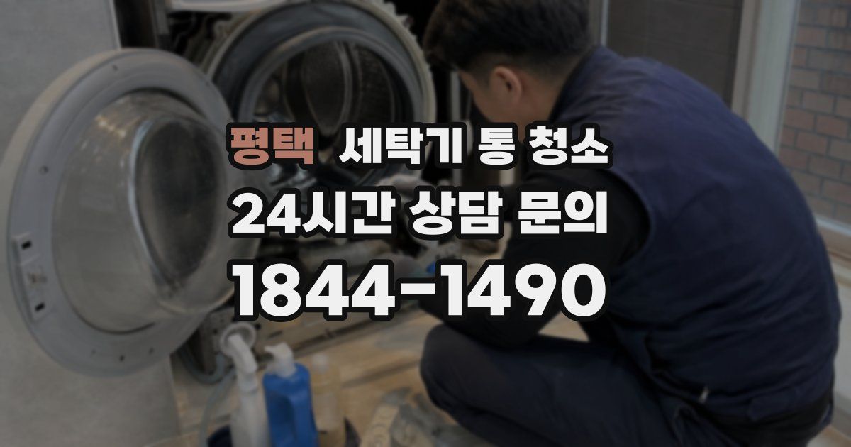 평택 세탁기 통 청소